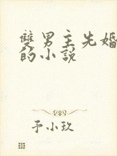 双男主先婚后爱的小说