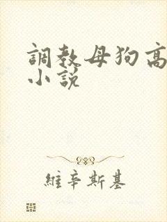 调教母狗高中生小说