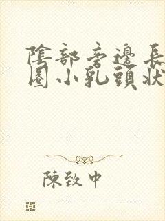 阴部旁边长了一圈小乳头状