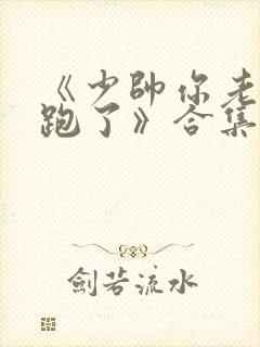 《少帅你老婆又跑了》合集