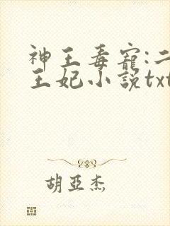 神王毒宠:二嫁王妃小说txt