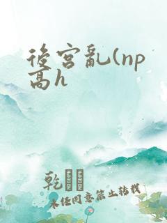 后宫乱(np 高h