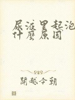 尿液里起泡泡是什么原因