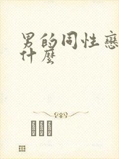 男的同性恋俗称什么