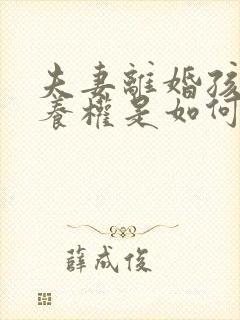 夫妻离婚孩子抚养权是如何判定的