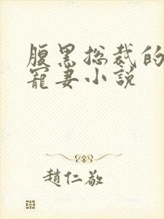 腹黑总裁的天后宠妻小说