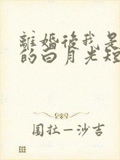 离婚后我是前夫的白月光短剧