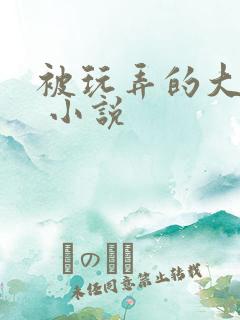 被玩弄的大小姐 小说