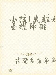 小孩1岁离婚抚养权归谁