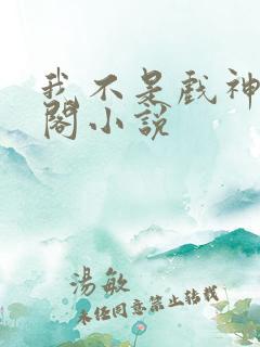 我不是戏神书海阁小说