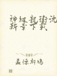 神级龙卫沈浪最新章下载