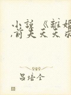 小说 《离婚后,前夫天天求复婚》