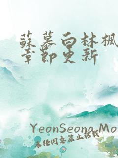 苏慕白林枫最新章节更新