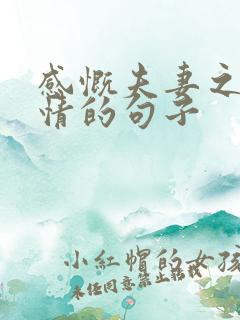 感慨夫妻之间感情的句子