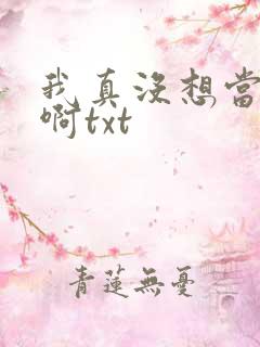 我真没想当反派啊txt