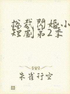 总裁闪婚小娇妻短剧第2季