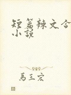 短篇辣文合集 小说