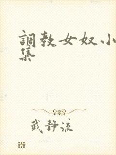 调教女奴小说合集