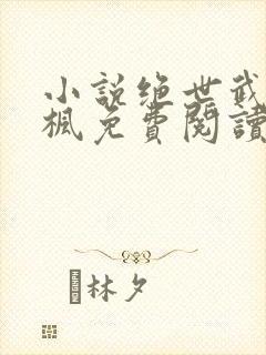 小说绝世武魂陈枫免费阅读全文