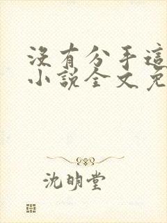 没有分手这回事小说全文免费阅读