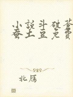 小说斗破苍穹天蚕土豆免费