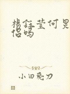 杨钰莹何炅是情侣吗