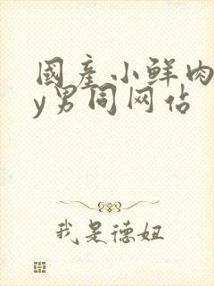 国产小鲜肉gay男同网站