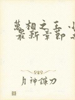 万相之王 小说 最新章节 无弹窗