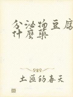 分泌物豆腐渣吃什么药