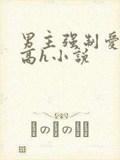 男主强制爱女主高h小说