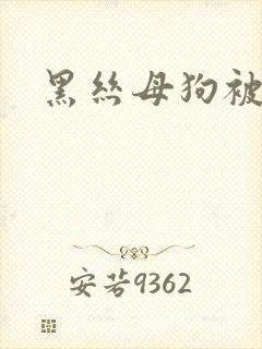 黑丝母狗被爆操