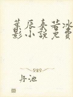 叶辰秦若冰苏清影小说免费阅读