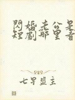 闪婚老公是总裁短剧哪里看完整版