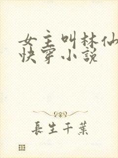 女主叫林仙豆的快穿小说