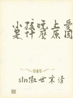 小孩晚上爱遗尿是什么原因