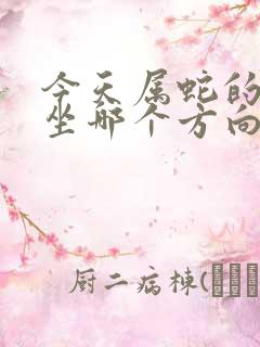 今天属蛇的打牌坐哪个方向赢