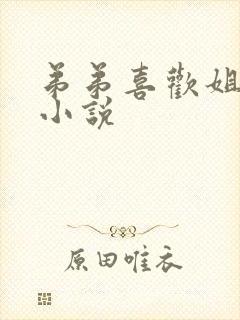 弟弟喜欢姐姐的小说