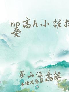 np高h小说总受