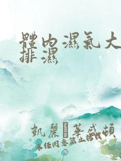 体内湿气大如何排湿