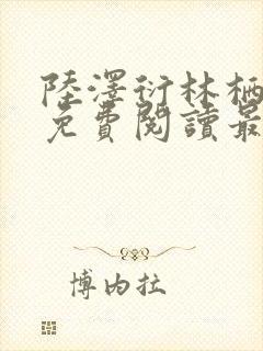 陆泽衍林栖小说免费阅读最新章节