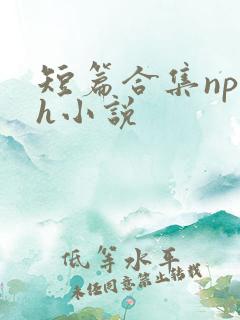 短篇合集np高h小说