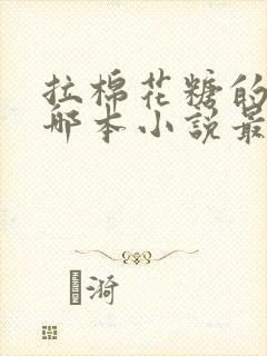 拉棉花糖的兔子哪本小说最好看