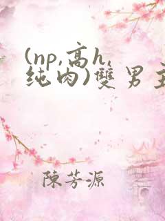 (np,高h,纯肉)双男主
