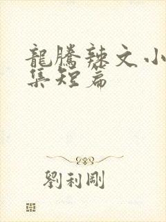 龙腾辣文小说合集短篇