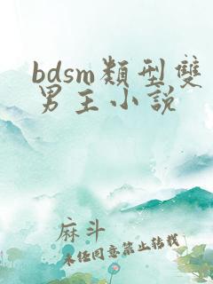 bdsm类型双男主小说