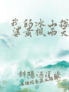 我的冰山总裁老婆黄枫雨天 小说