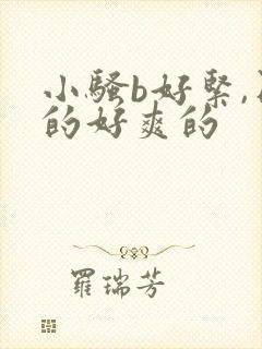 小骚b好紧,日的好爽的