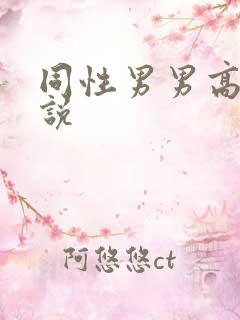 同性男男高h小说