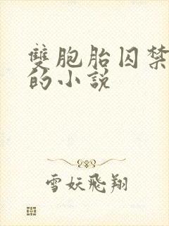 双胞胎囚禁女主的小说