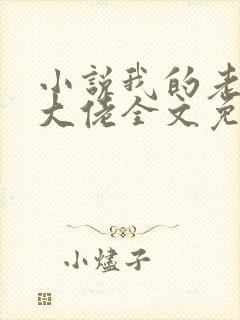 小说我的老公是大佬全文免费阅读